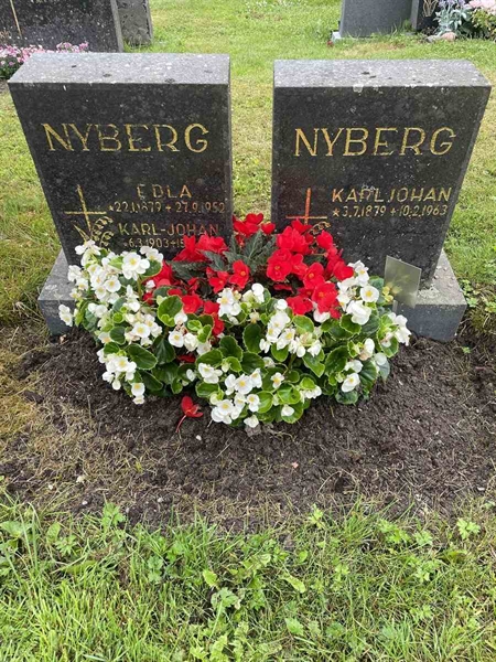 Gravnummer: N 4 4   503