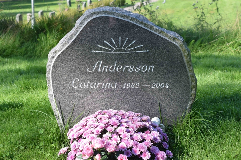 Grave number:  U  3003