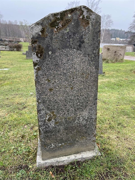 Hautatunnus: Vårv Kv3 96