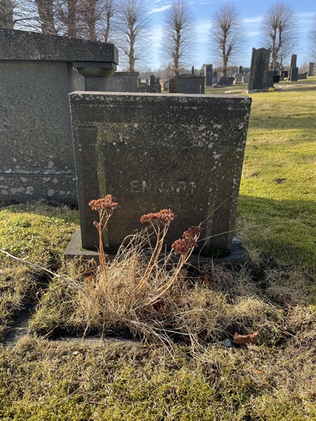 Hautatunnus: HA M    49