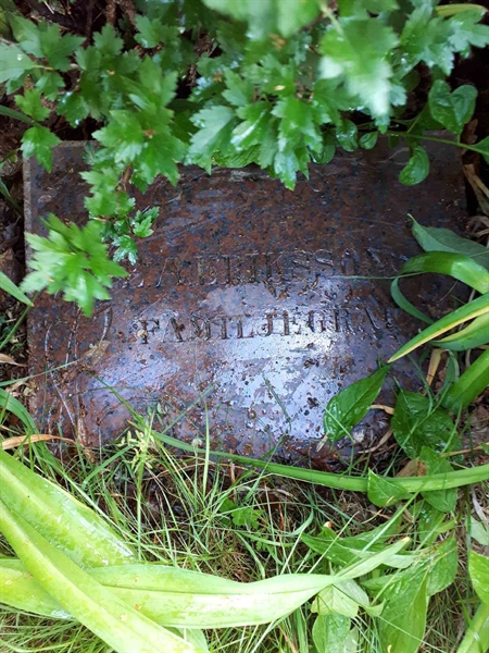 Gravnummer: GK F 5   420