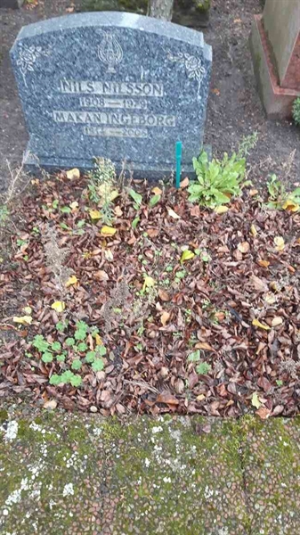 Grave number: Bi G    18