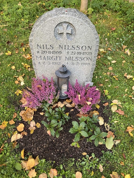 Hautatunnus: 1 H   238