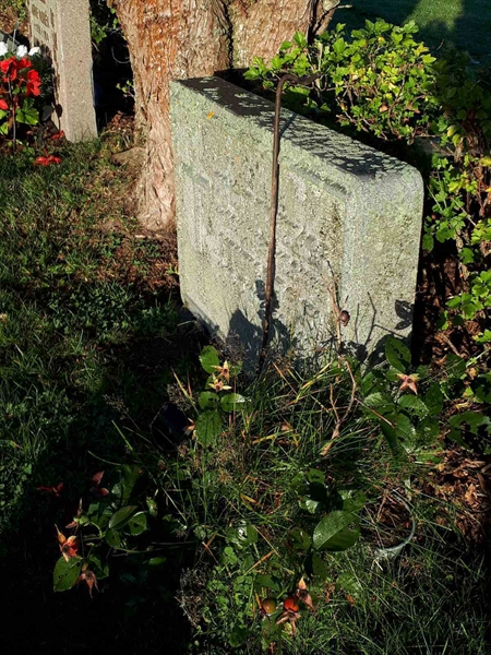 Gravnummer: NK F B   919-920