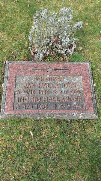 Hautatunnus: VG C    54-55