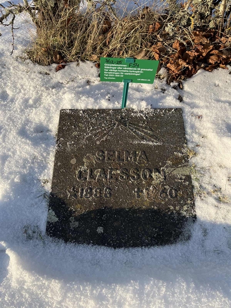 Gravnummer: SJ F    54