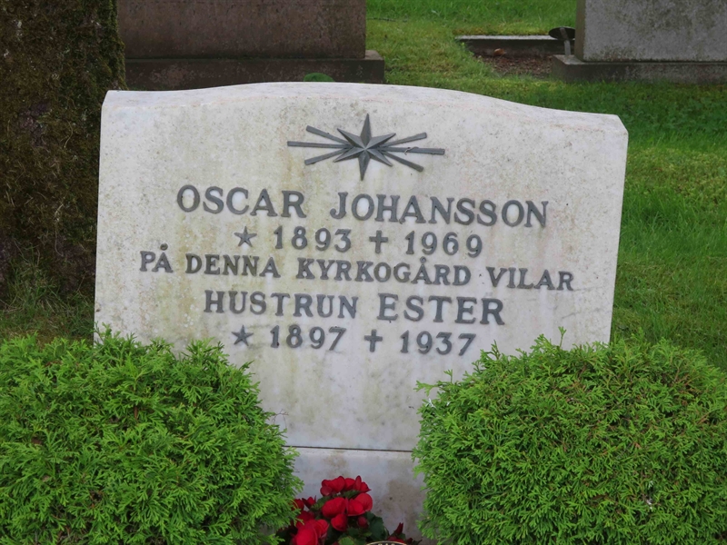 Grave number: HÖB 65    20
