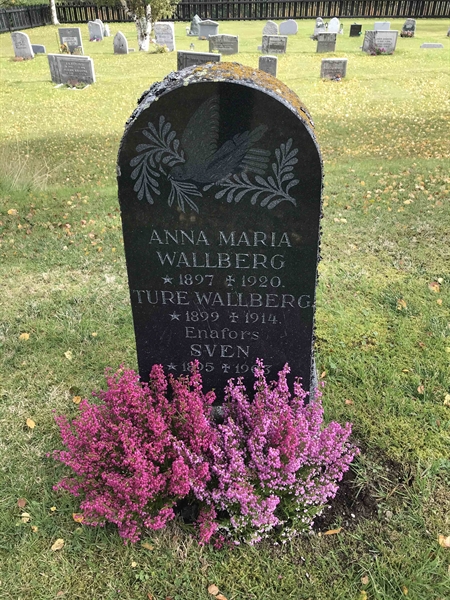 Grave number: HA A   107