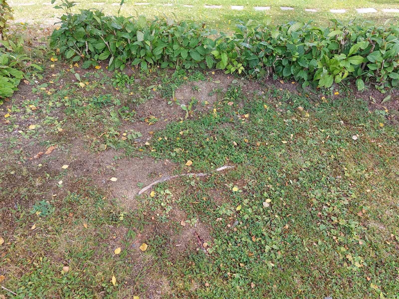 Grave number: FÖ 3    18