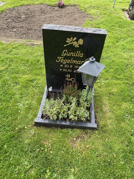 Hautatunnus: 2 C   700