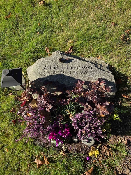 Grave number: T A D   815-816