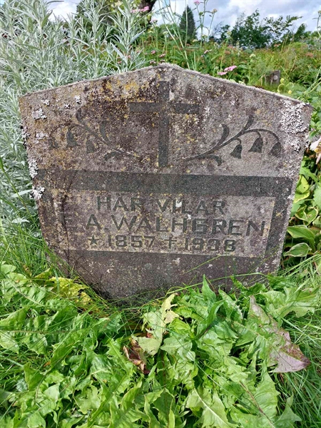 Grave number: 1 C 210