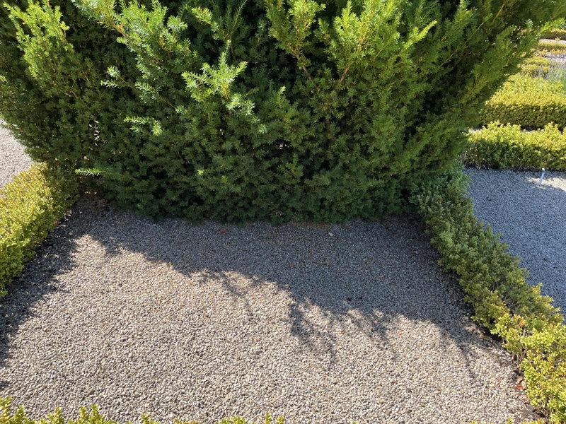 Hautatunnus: NK D 105-106
