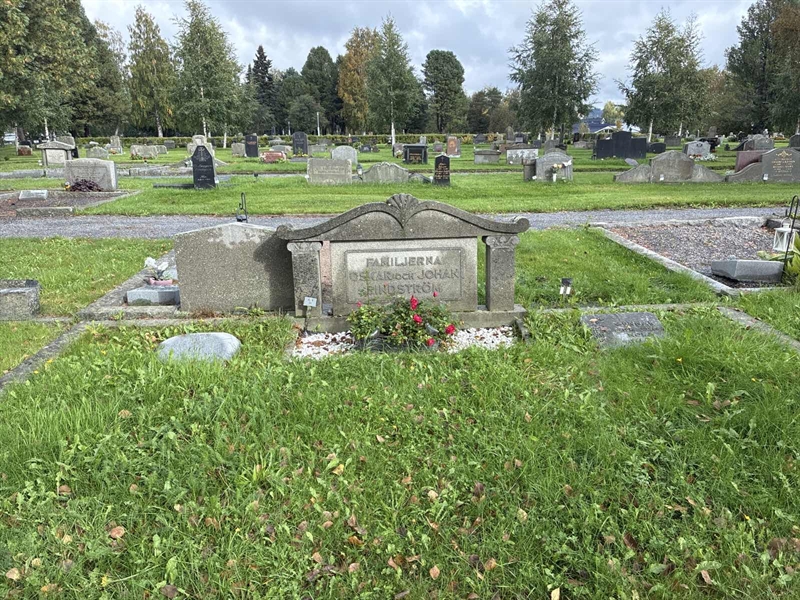 Hautatunnus: 2 06   123