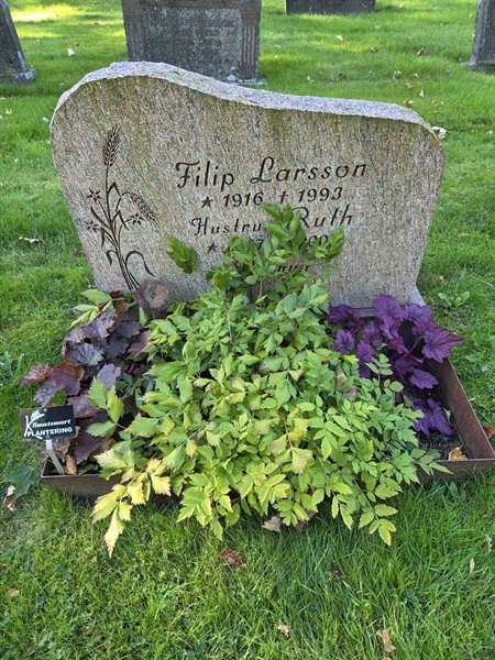 Grave number: T A E   998