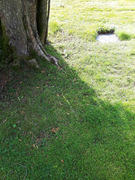 Gravnummer: NK A A   188