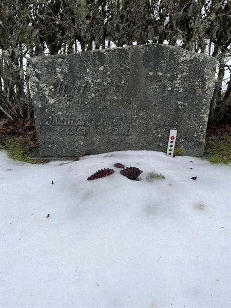 Gravnummer: SJ M    81