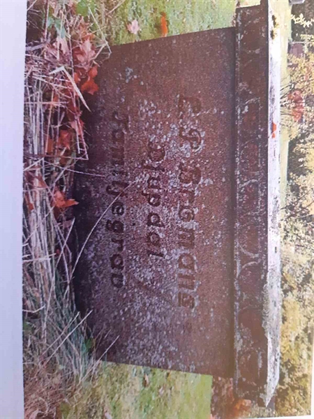 Grave number: 2 D   269