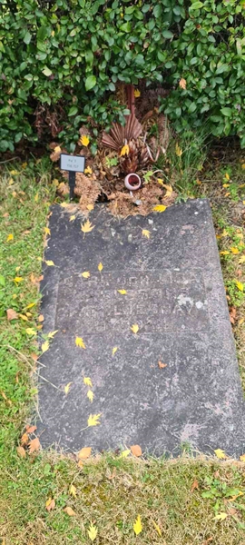 Grave number: M F  156, 157