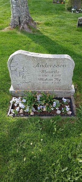 Grave number: 3 Nya L    15-16