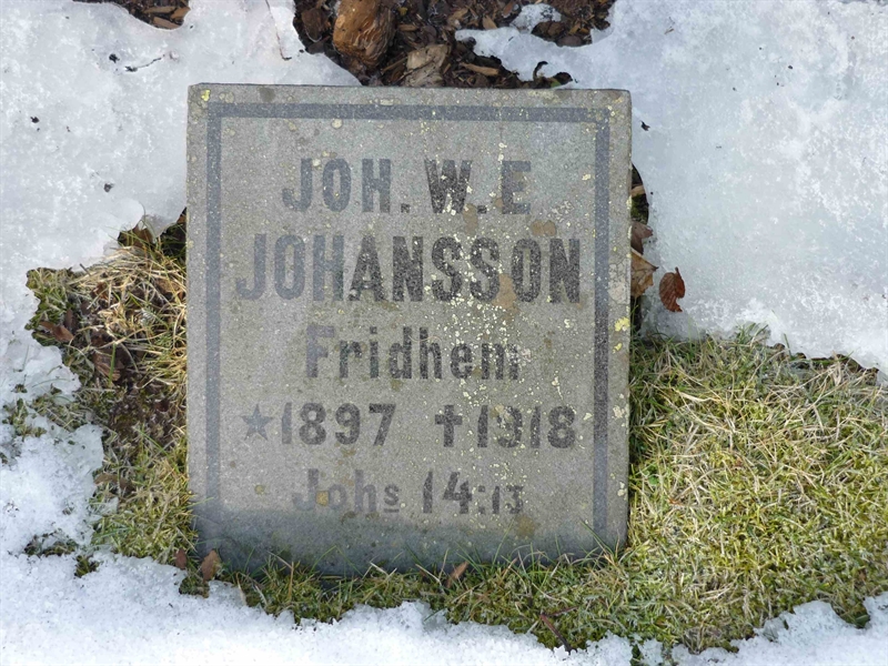 Grave number: ÖD 03   81