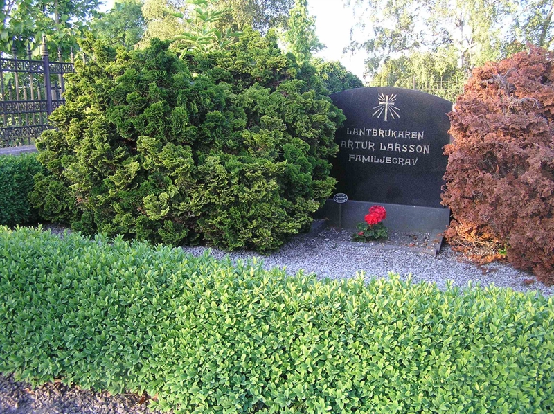 Grave number: HÅ 10    50-52