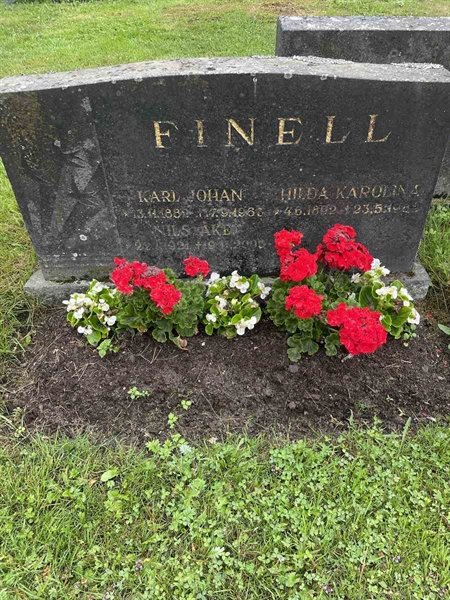 Gravnummer: N 4 4   537