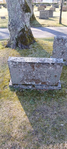 Gravnummer: 3 Nya F    50-51