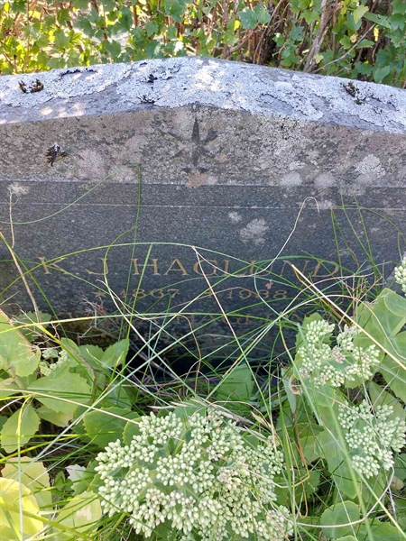 Hautatunnus: 1 D   031