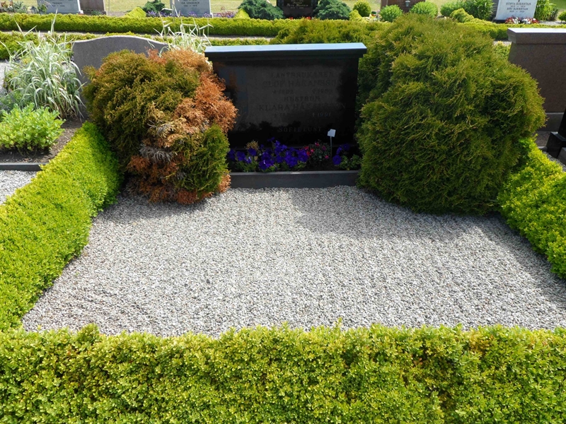 Grave number: ÖV H   104, 105