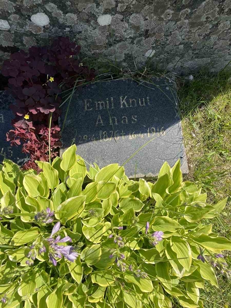 Hautatunnus: N 5 1   107