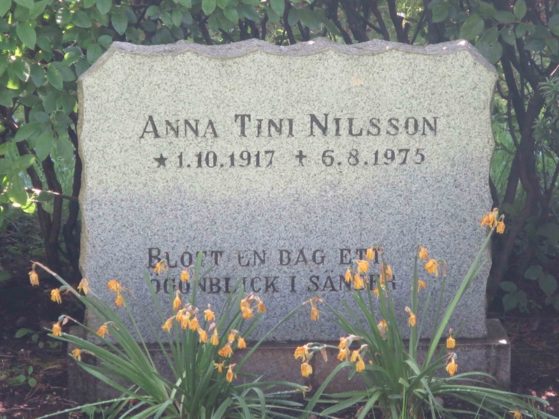 Grave number: HÖB 68   118