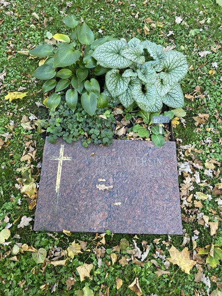 Gravnummer: 1 H   507