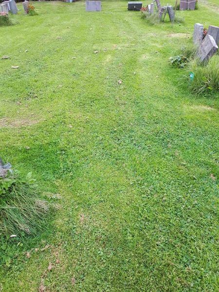 Gravnummer: NK F B   764