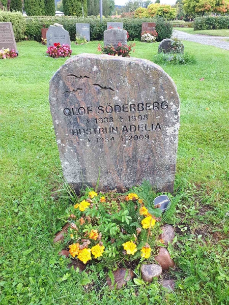 Hautatunnus: NK F D   235