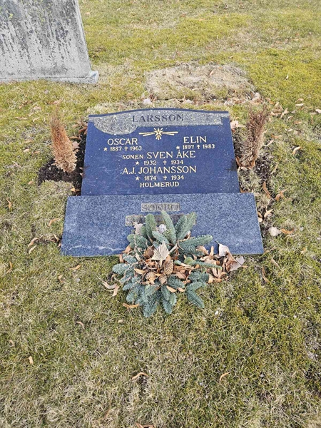 Hautatunnus: SRN 3   190