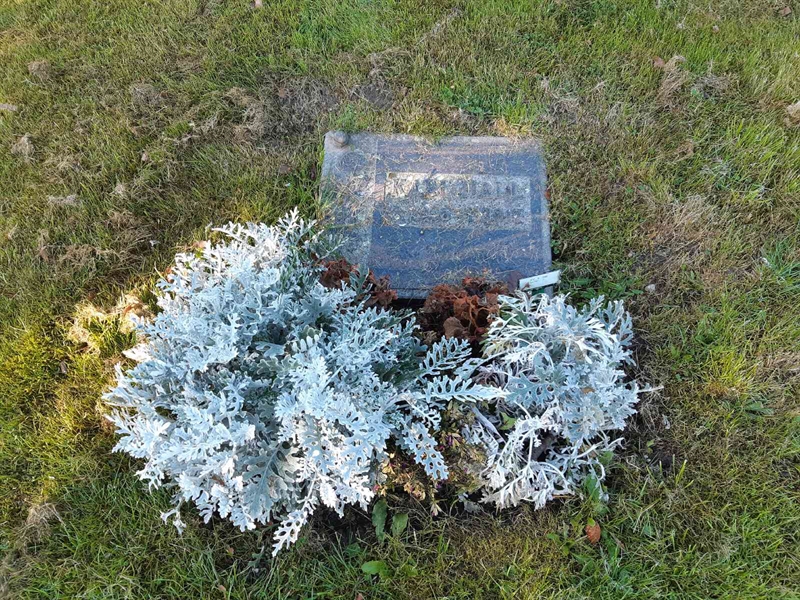 Hautatunnus: Fr 8   246