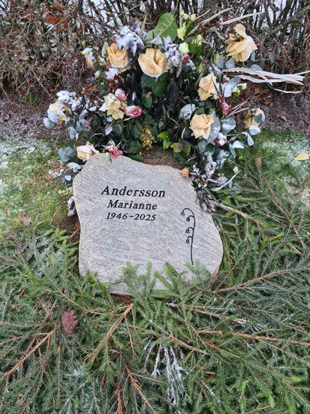 Gravnummer: 1 B   61