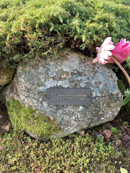 Grave number: TN AL 4    17