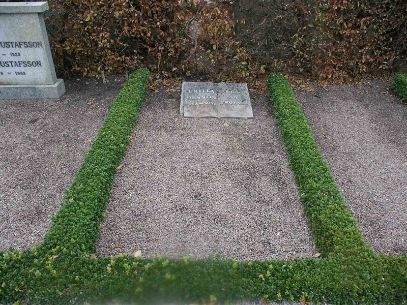 Grave number: KK NÖ C    19