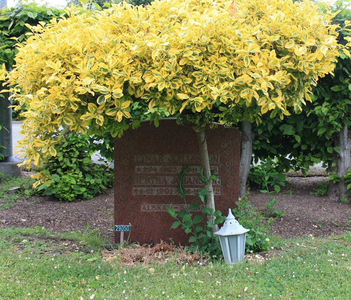 Grave number: Ö 29    64