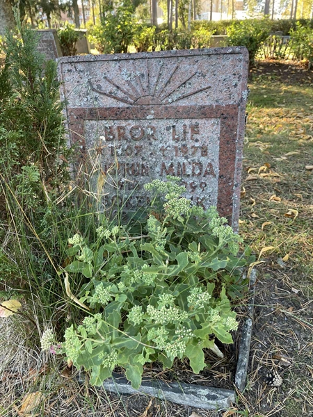 Grave number: 1 D1    40-41