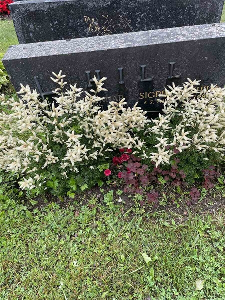 Gravnummer: N 4 4   562a