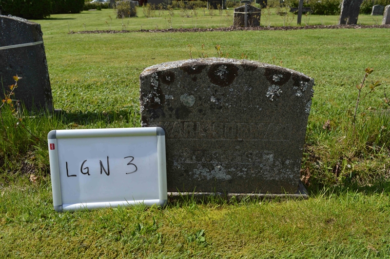 Grave number: LG N     3