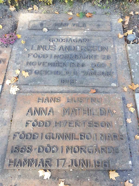 Hautatunnus: GK F 1   114