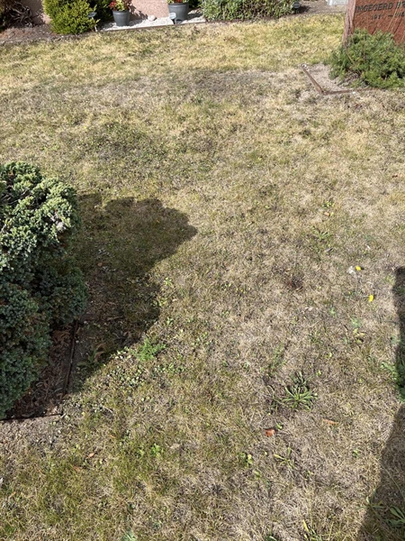 Grave number: NK XVI:u    47