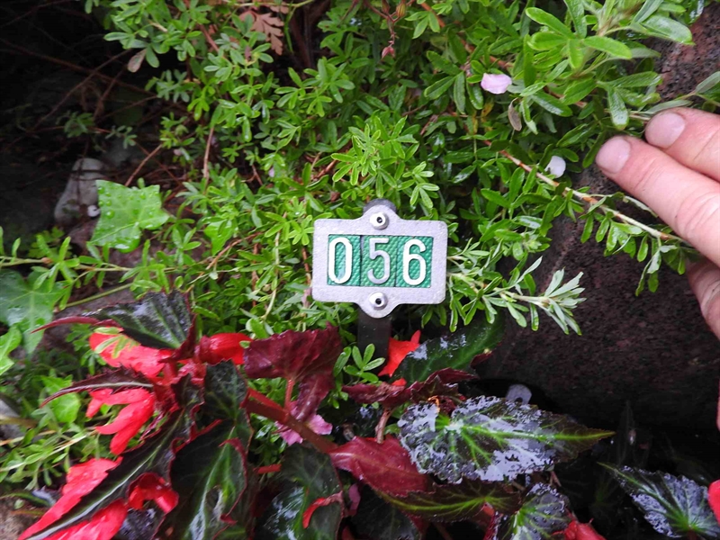 Gravnummer: BRO 2U B    56