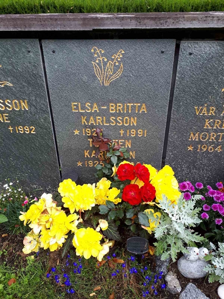 Hautatunnus: GK U 4   225