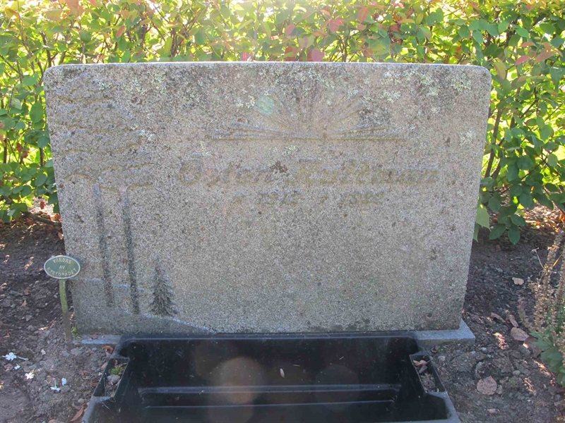 Grave number: TJ B    82