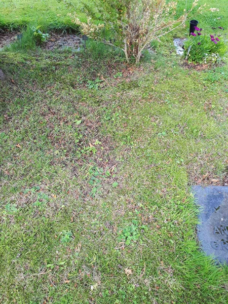 Gravnummer: NK A A   229